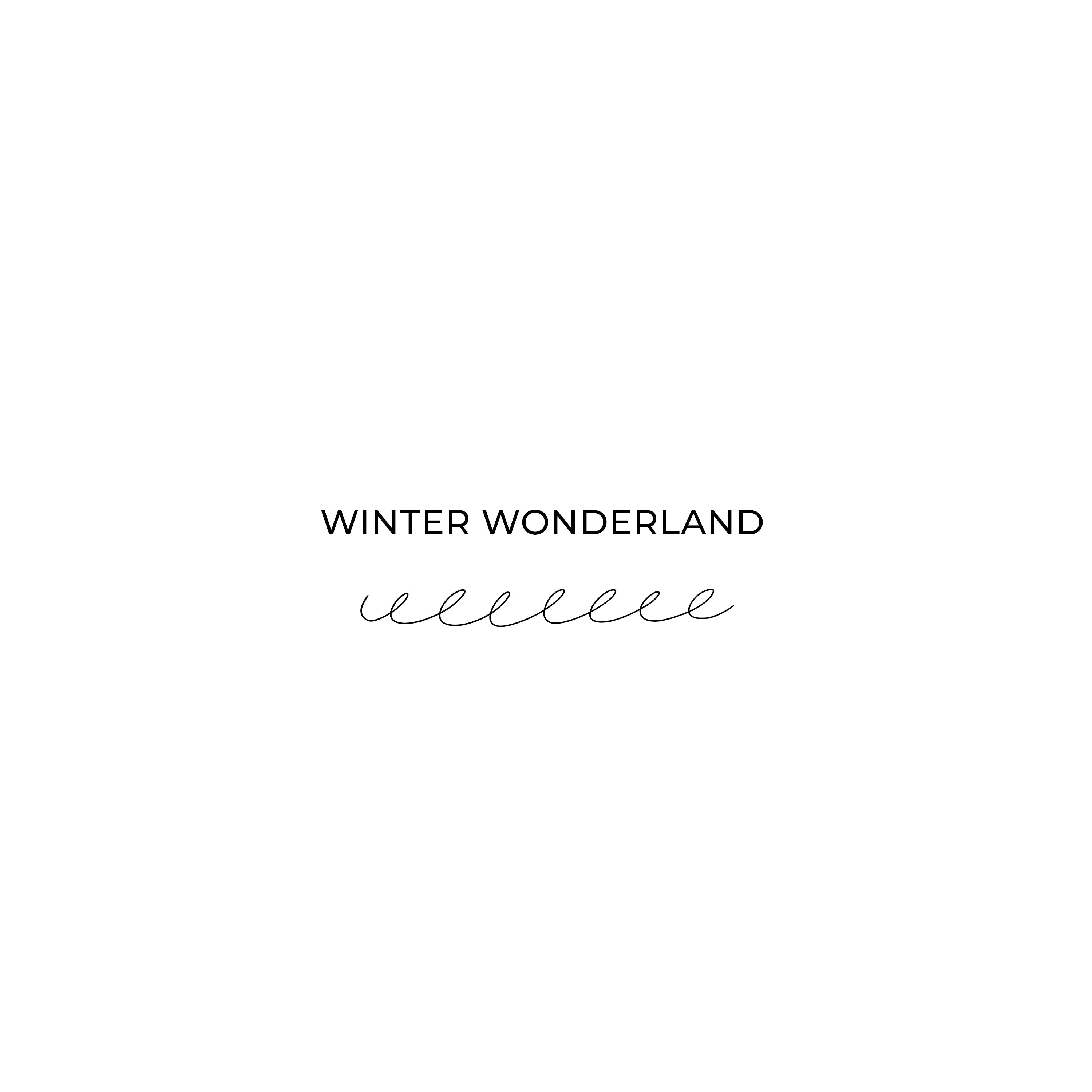 Winter Wonderland