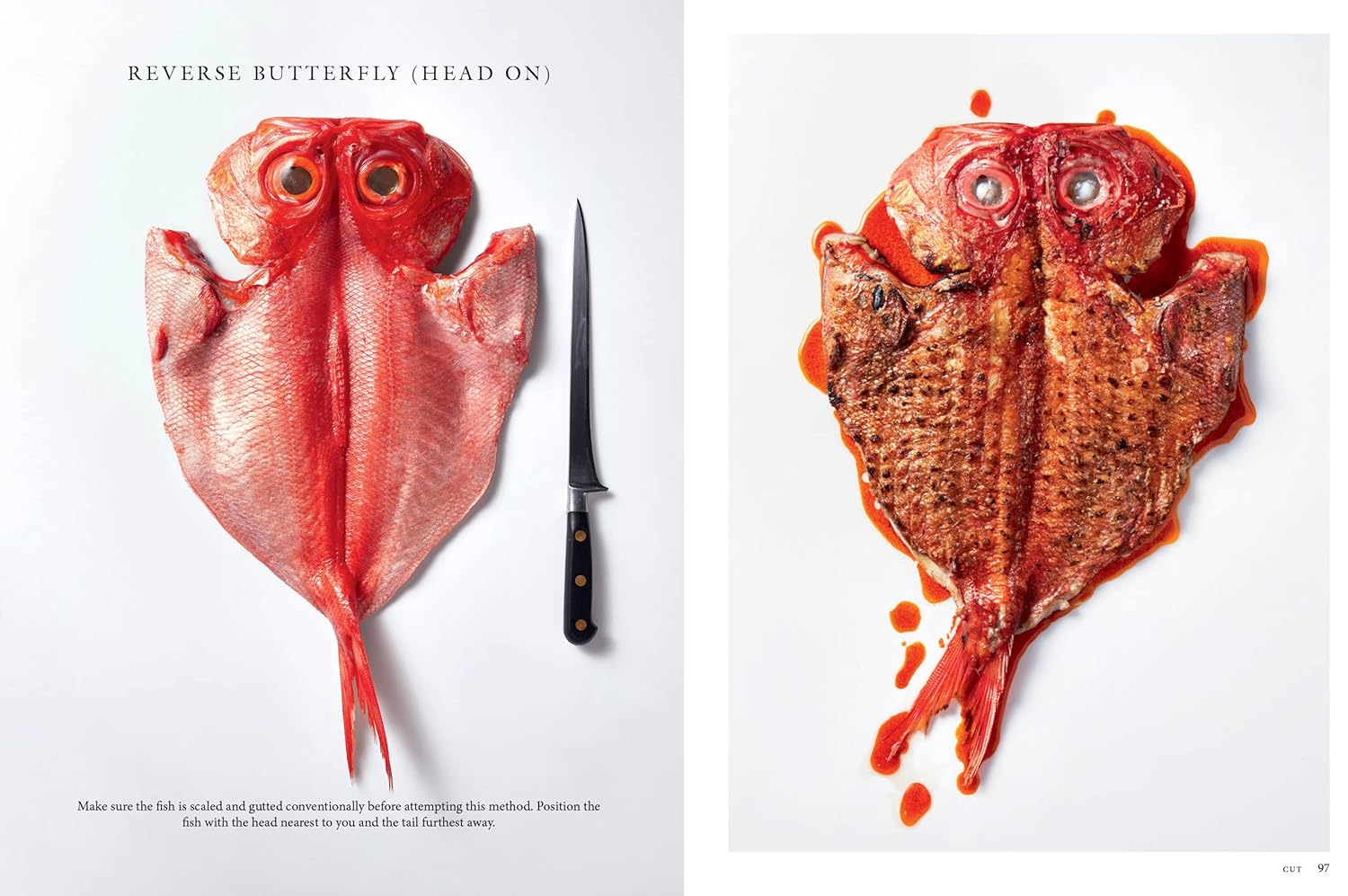 Fish Butchery: Mastering The Catch, Cut, And Craft