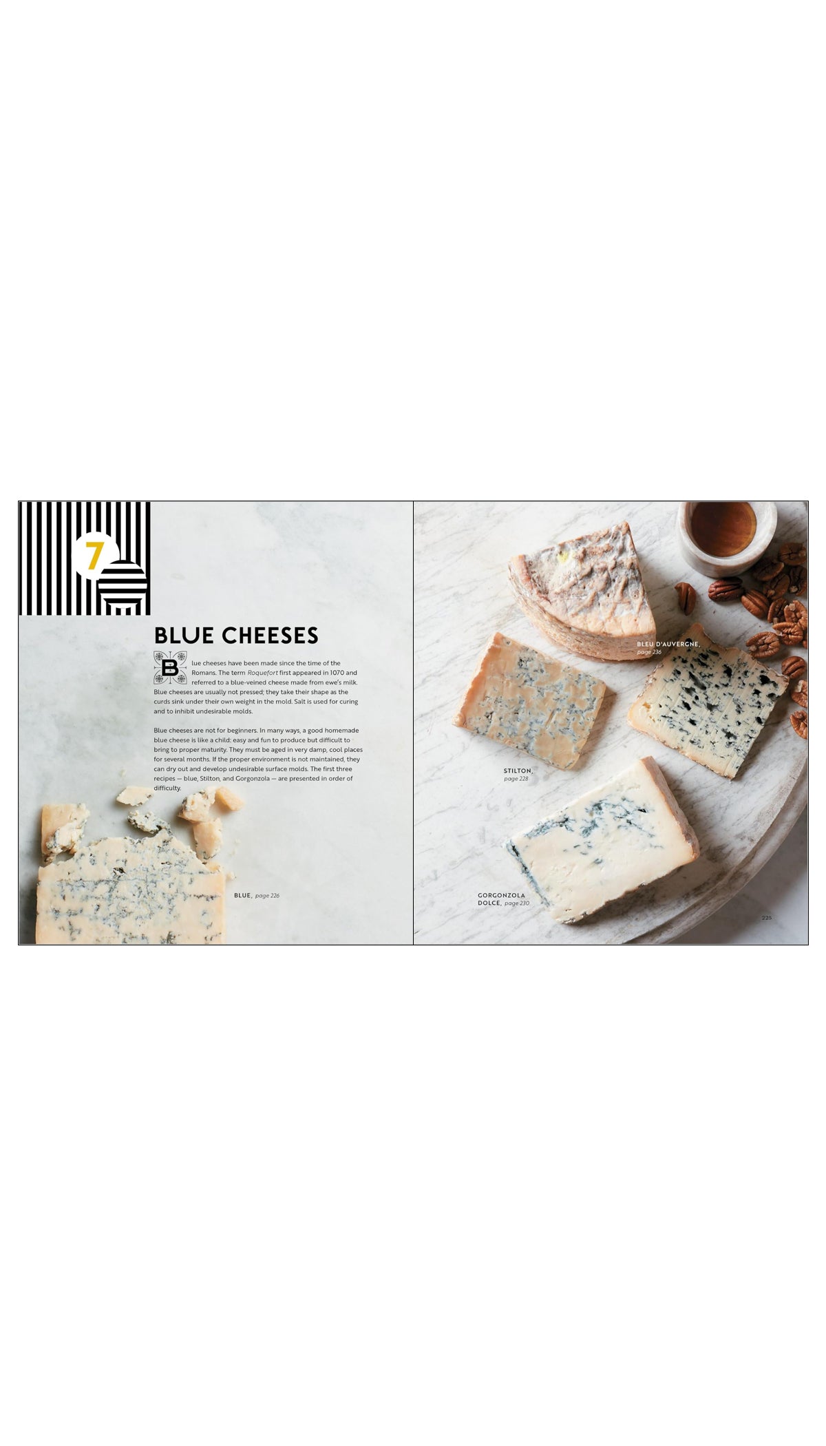 Home Cheese Making: Recipes for 100 Favorite Cheeses