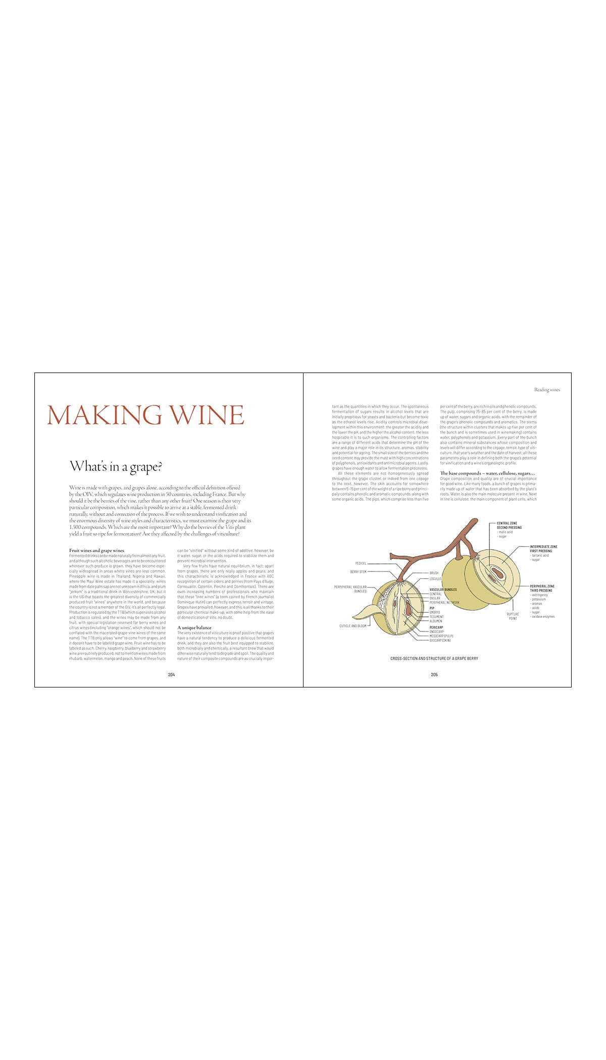 One Thousand Vines: A New Way to Understand Wine / ON BACK ORDER