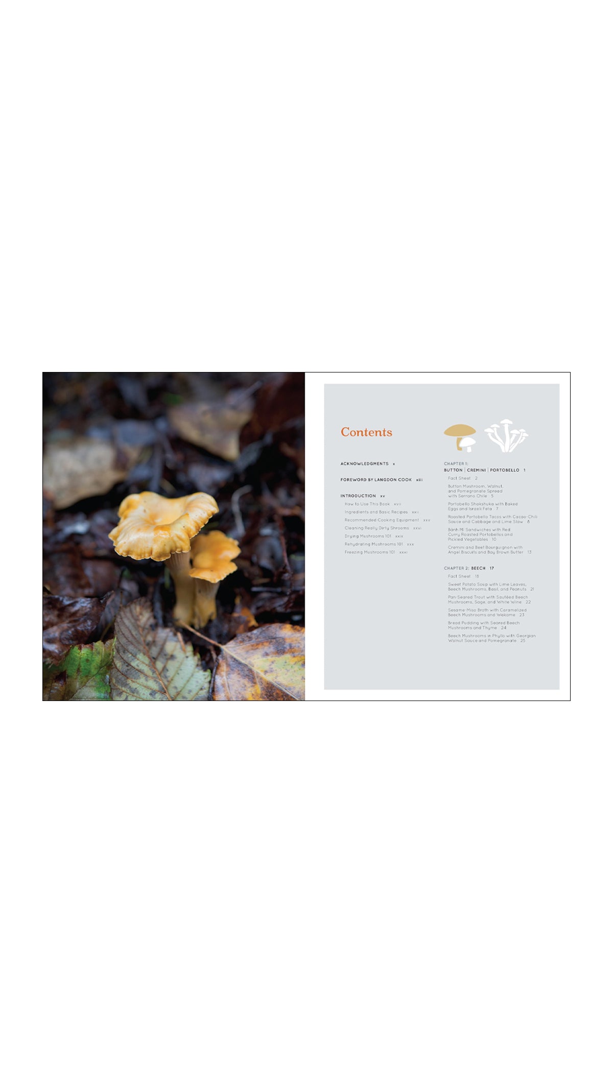 Shroom: Mind-bendingly Good Recipes for Cultivated and Wild Mushrooms