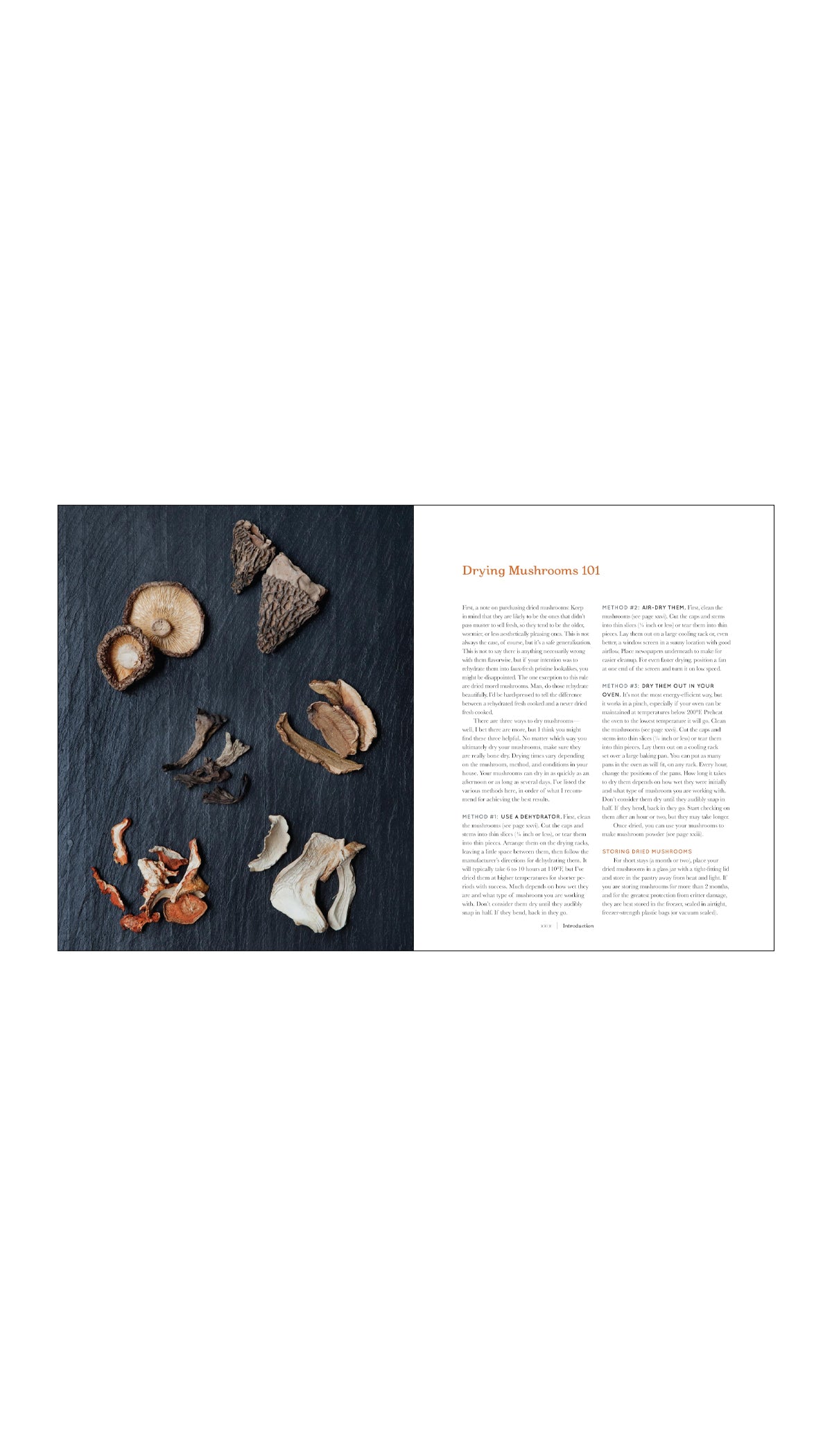 Shroom: Mind-bendingly Good Recipes for Cultivated and Wild Mushrooms