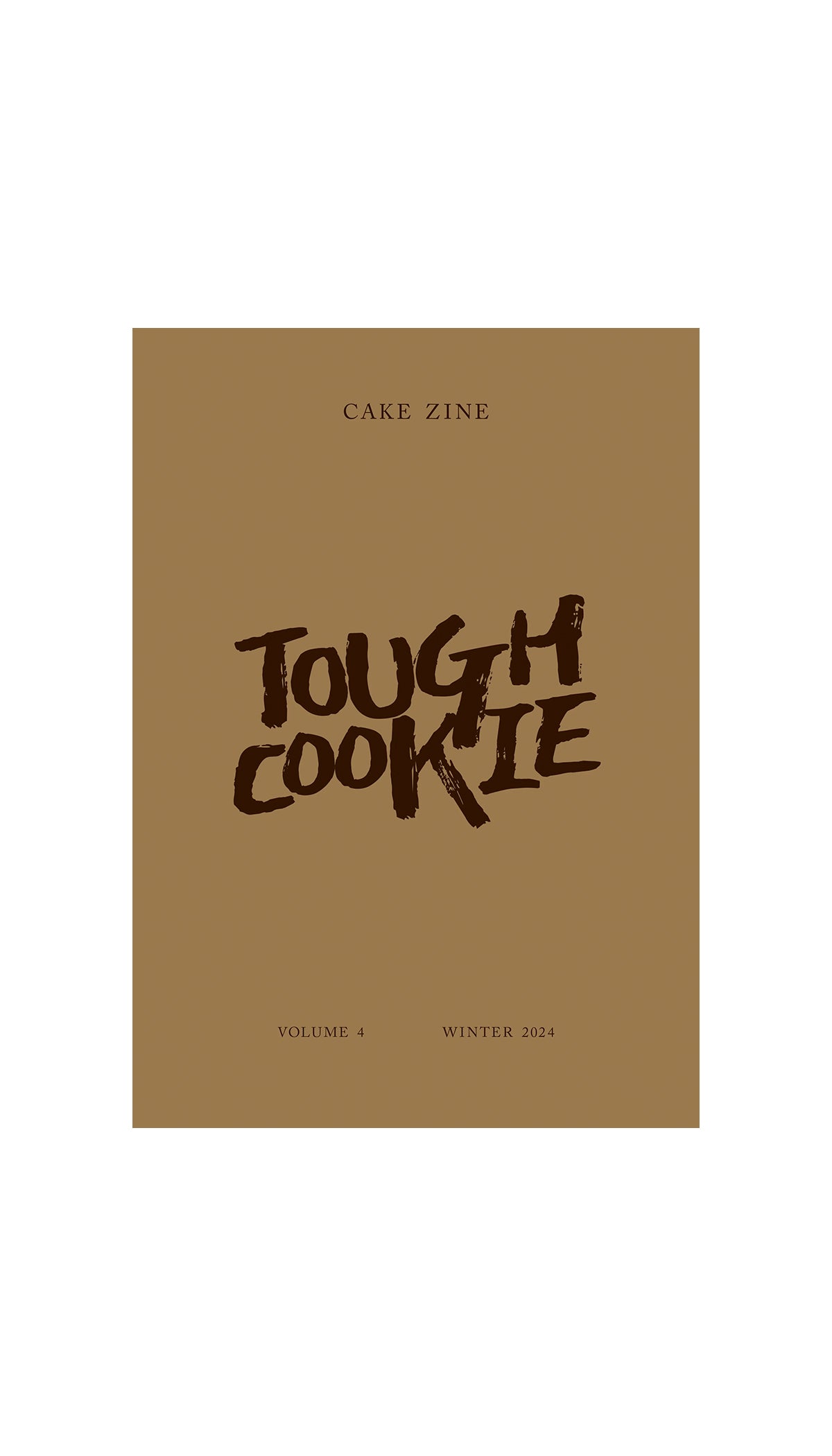 CAKE ZINE