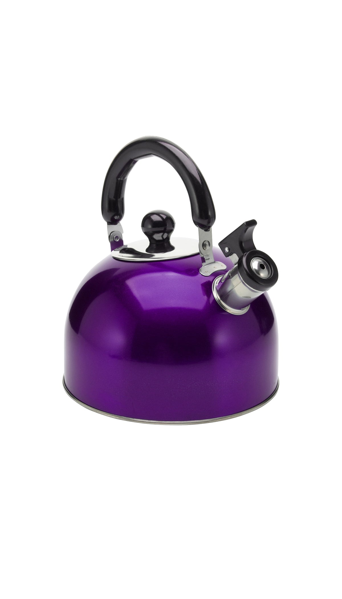 Stainless Steel Whistling Kettle