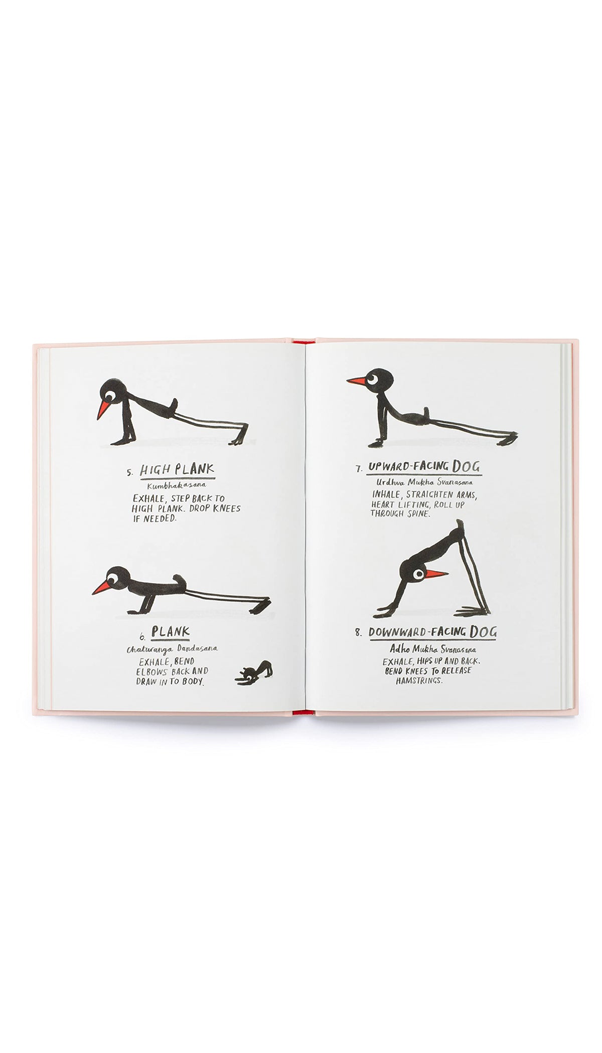 Yoga for Stiff Birds: An Illustrated Approach to Positions, Poses, and Meditations