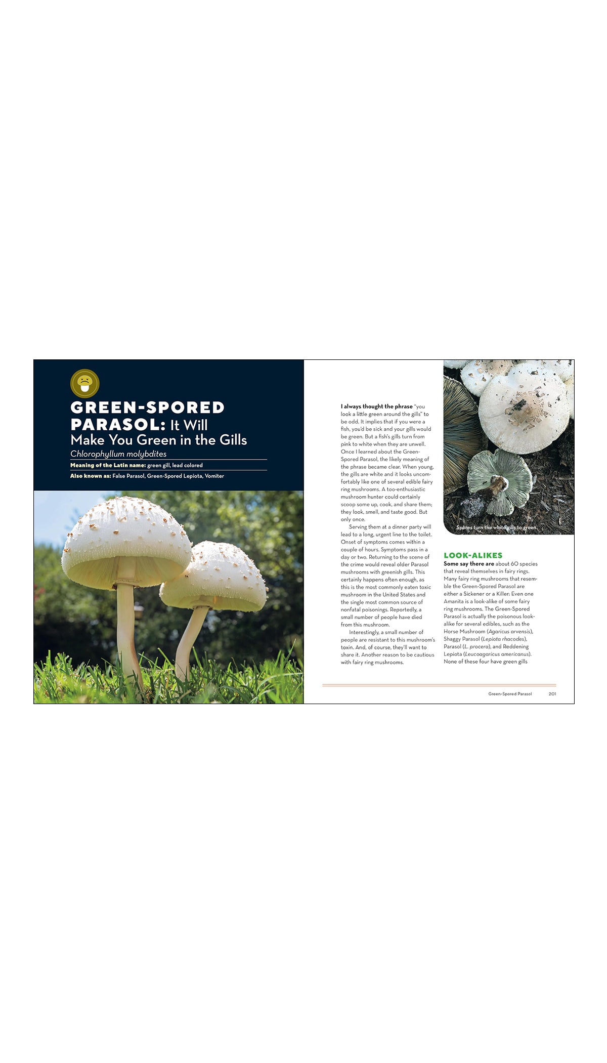 How to Forage for Mushrooms without Dying: An Absolute Beginner's Guide to Identifying 29 Wild, Edible Mushrooms